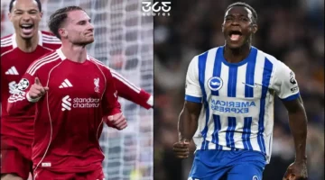 موعد مواجهة ليفربول وبرايتون المرتقبة ضمن منافسات الجولة 31 بالدوري الإنجليزي الممتاز